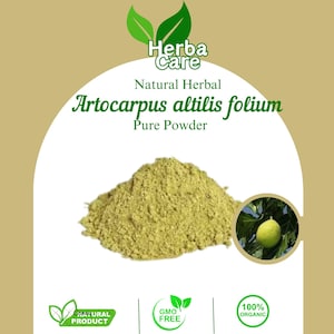 May include: A pile of light green Artocarpus altilis folium powder. The image includes text that reads "Herba Care", "Natural Herbal", "Pure Powder", and "Natural Product", "GMO Free", and "100% Organic". A picture of a green fruit is in the background.