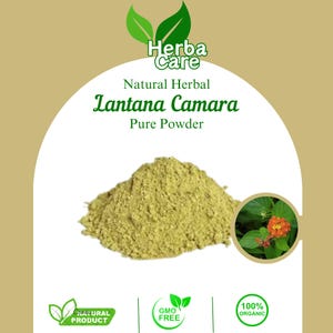 May include: A mound of light green Lantana Camara pure powder is shown. The image features text: "Herba Care", "Natural Herbal", "Lantana Camara", and "Pure Powder". Additional text includes "Natural Product", "GMO Free", and "100% Organic".