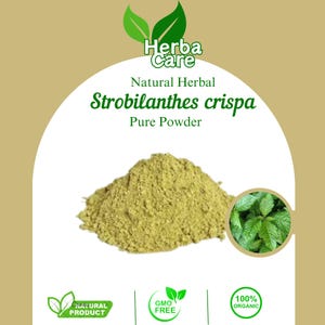Pure Powder Of Black Face General or Kejibeling (Strobilanthes Crispa) Fresh Organic Single Spice Natural Herbal Herbs