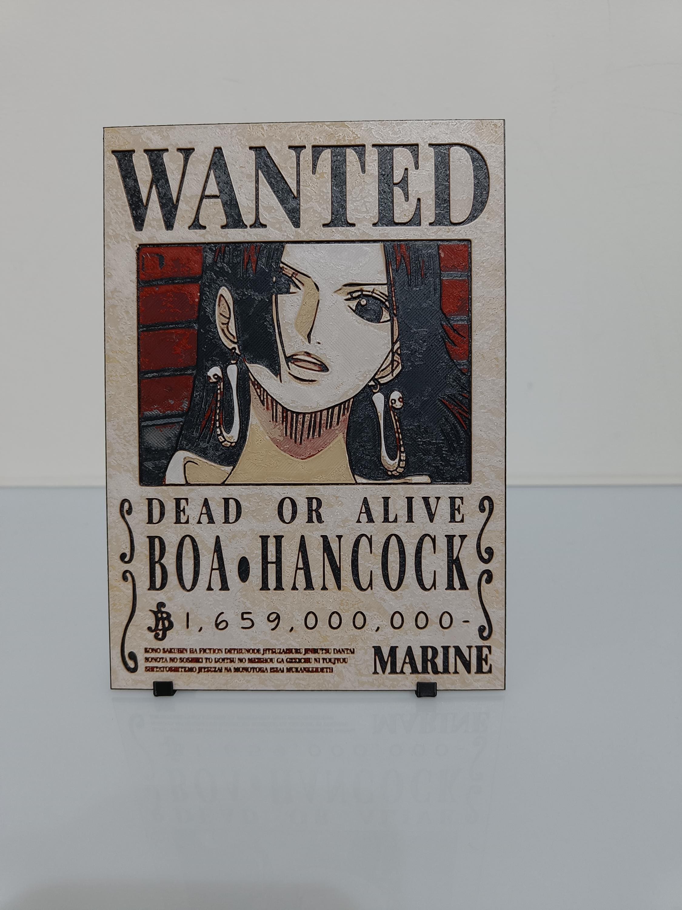One Piece Wanted Poster 3D | Boa Hancock - Etsy