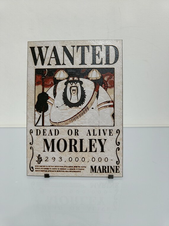 One Piece Wanted Poster 3D | Morley - Etsy