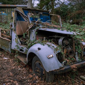 Lost Cars Lost Place high-resolution images | Digital photography | Prints for download | Wall art | Instant download