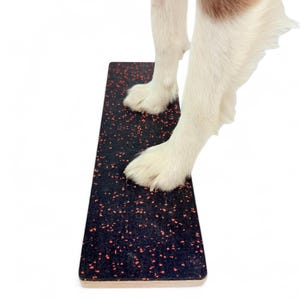 Op de afbeelding: Een rechthoekig zwart honden evenwichtsboard met rode spikkels. Het bord is gemaakt van hout en heeft een textuur. De witte en bruine poten van een hond staan op het bord.