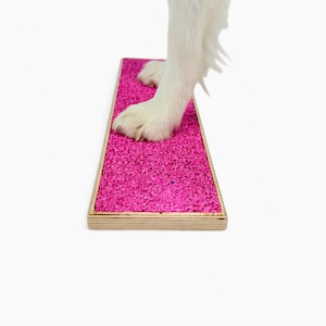 Può includere: Un vassoio rettangolare in legno riempito di ghiaia rosa vibrante. Una zampa di cane bianca poggia sulla ghiaia. Il vassoio ha una finitura in legno naturale ed è posto su uno sfondo bianco.
