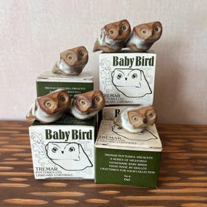 May include: Five small ceramic owl figurines with brown and white glaze, each perched on or near its original green and white cardboard box. The boxes are labelled Baby Bird and Tremar Potteries Ltd Liskeard Cornwall, featuring line art of an owl.