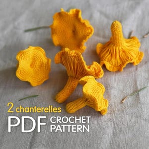 Chanterelle Mushroom Crochet Pattern – Realistic Forest Food Toy – PDF Amigurumi Pattern