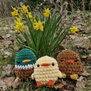 May include: Three crocheted stuffed toys, a duck, a chick, and a brown bird, are sitting on a bed of green grass and brown leaves. The duck is green and brown, the chick is yellow, and the brown bird is brown. The toys are surrounded by yellow daffodils.