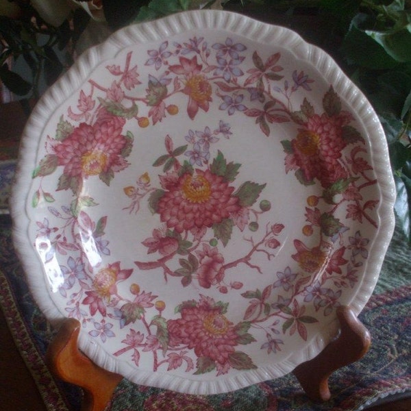 Spode Polychrome Red Transferware Plate Aster Flowers