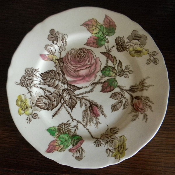 Shabby Pink and Yellow Roses Vintage Brown Transferware Plate English