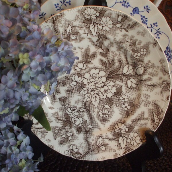 RESERVED for Debra Brown Floral Toile Transferware English Plate Ridgway Roses and Flowers