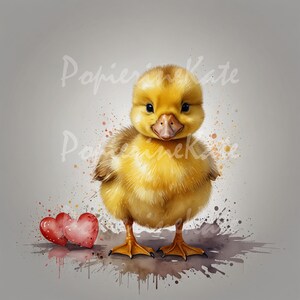 16 imagens de patinhos fofos, fundo bege, cartão postal, pôster, aniversário, clipart aquarela, pintura digital, para uso comercial, artesanato em papel
