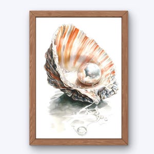 Könnte beinhalten: Eine große, weiße Perle liegt in einer Muschel mit einem braunen, orangefarbenen und weißen Streifenmuster. Die Muschel liegt auf einer weißen Oberfläche mit Wassertropfen drumherum.