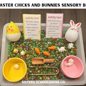 NEW LOOK Easter Baby Chicks and Bunnies Sensory Bin Kit: Montessori Activity Cards