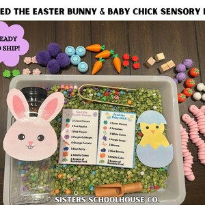 NEW LOOK Feed the Easter Bunny and Baby Chick Sensory Bin: Montessori Activity Cards