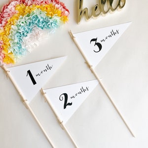 Banderas de banderín de Baby Monthly Milestone