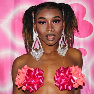 Pink Nipple Pasties | Present Bow Nipple Pasties for Festival, Rave, Burlesque Costume, Sexy Nipple Cover, 3D Pasties