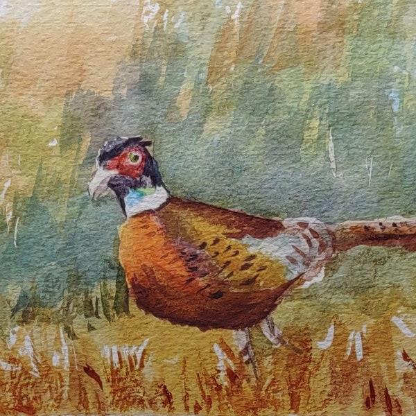 Original watercolor painting wildlife art ring-neck pheasant bird paintings gift for nature lover.