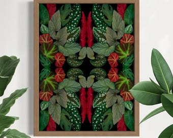 Real Houseplant Art Print: Botanical Home Decor, Begonia Sinbad, Scindapsus, Begonia Maculata