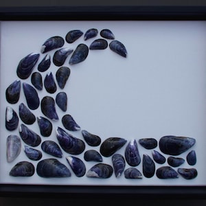 Coastal Canvas- Mussel Wave
