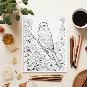 Cottagecore Coloring Pages | Gardens Animals & Flowers | Relaxing Cozy Aesthetic | Printable Digital Download for Traditional and Tablet Use