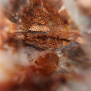 Tumbled Kentucky Agate & Display Jar