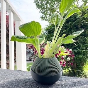 Olive Green 3D Printed Planter: Ribbed Succulent Pot with Saucer