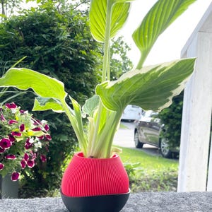 Maceta minimalista roja impresa en 3D: Maceta acanalada para suculentas con drenaje