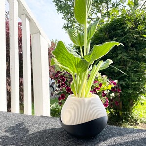WHITE Minimalist Planter Indoor- Outdoor Flower Pot, Home Decor & Gift, 3D Printed Planter with Saucer-Drainage, Textured Succulent Planter