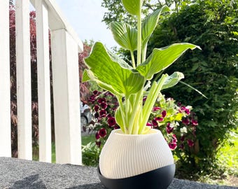 Witte geribbelde minimalistische plantenbak: 3D-geprinte succulente pot met drainage