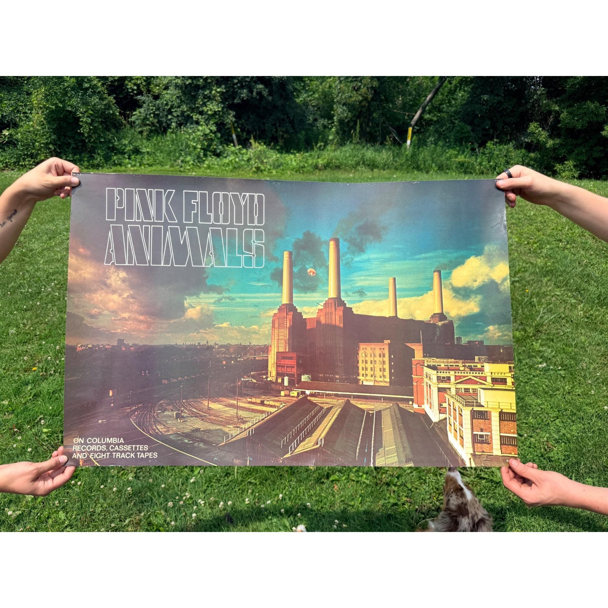 Vintage Pink Floyd "Animals" Columbia Records Promotional Album Poster P-273