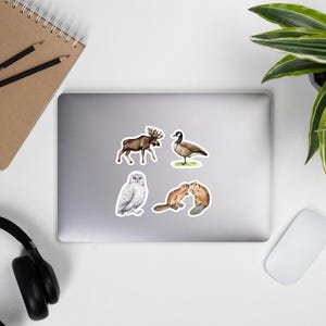Adesivos de vida selvagem caprichosos (conjunto de 4 animais), adesivo de vinil à prova d'água com estética natural para garrafa de água (3, 4, 5,5”), pacote e presente econômico