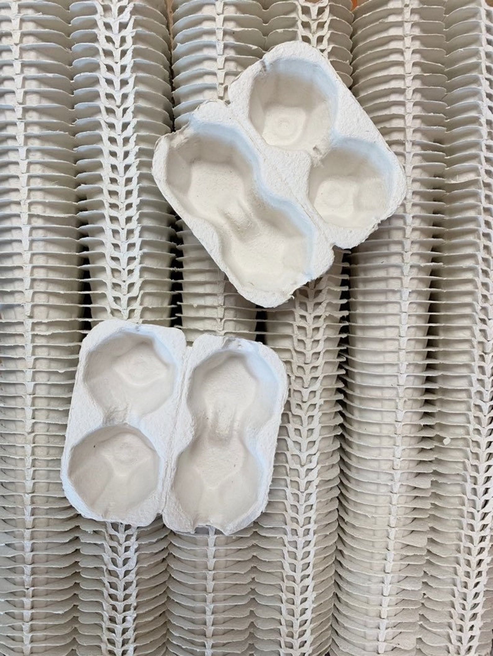 100 Egg Cartons in White 2 Holding Type Etsy Canada