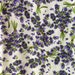 see more listings in the Flower Fabric section