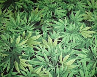 MARIJUANA LEAF Fabric, Cotton Fabric, Cannibus Leaf, Cotton Material, Fabrics by the yard, Quilting, Sewing,