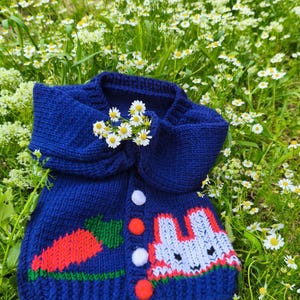 手編みのボタンとキュートな刺繍が施された愛らしいベビーカーディガン