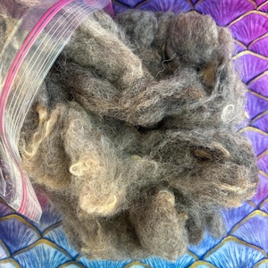 May include: A mass of raw, unspun wool fibers in shades of charcoal gray, brown, and light tan. The wool is partially contained within a clear plastic storage bag with a pink zipper seal, showcasing the natural, textured, and fibrous appearance.