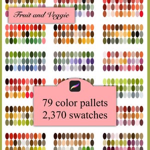 Color pallet for procreate