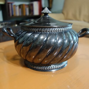May include: A silver-colored, lidded serving dish with a spiral design. The dish has two handles and a decorative rope-like trim around the lid and base. The lid is topped with a small, pointed finial.
