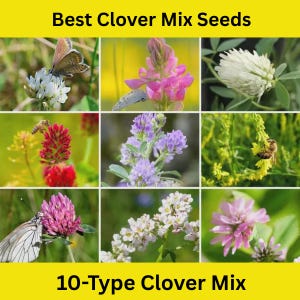10-Type Clover Mix – Soil Health, Wildlife Attraction Clover Seeds for Planting Bee-Friendly Seed White Clover Crimson Clover Persian clover