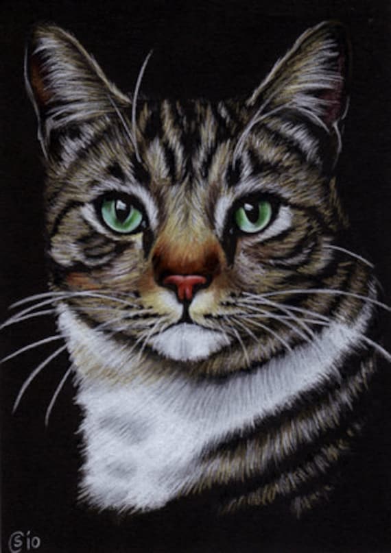 Items similar to Tabby 67 CAT portrait grey ginger orange tiger kitty kitten drawing