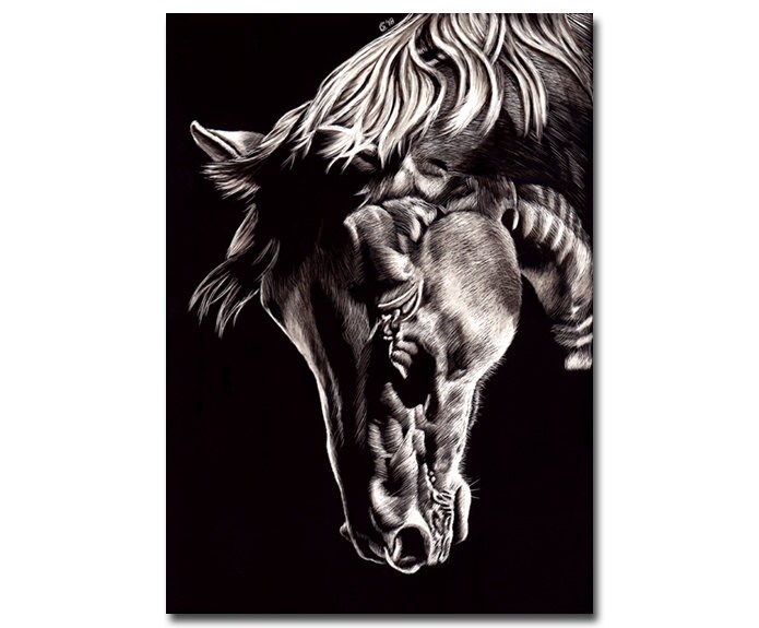 HORSE 12 mare stallion scratchboard scratch art painting Etsy