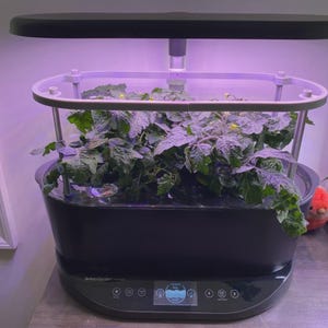 AeroGarden Bounty Trellis