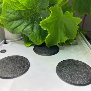 May include: Three black round plant saucers with a textured surface. The saucers are on a white surface with a green plant growing in the background.