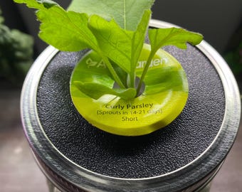 AeroGarden Pod Mason Jar Adapter for Kratky Gardening