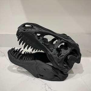 T-Rex Skull Replica with Stand