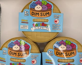 Dim Sum Squishy Mystery Box – Viral Fidget Toy, Stress Relief Surprise Dumpling