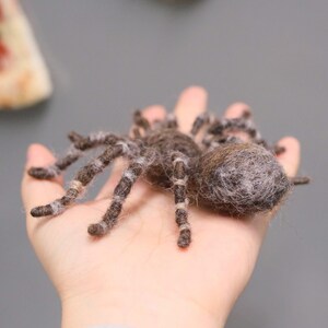 May include: A handmade felt spider with a brown body and legs, detailed with white and gray accents. The spider is resting on a hand, showcasing its intricate design. The spider's body is a rounded shape, and the legs are segmented.