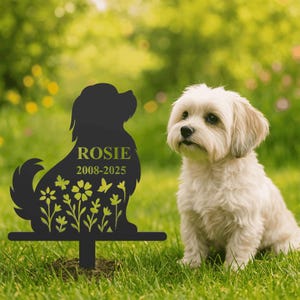 Peut inclure: Un piquet de jardin en métal noir en forme de silhouette de chien, portant le nom ROSIE et les années 2008-2025 en texte vert clair. La partie inférieure de la silhouette est ornée d'un motif découpé représentant diverses fleurs et un papillon.