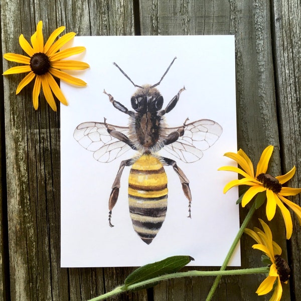 Bee Blank Card, Honeybee Art Card, Insect, Bee Illustrated Blank Card, Entomology Card, Gift for Gardeners