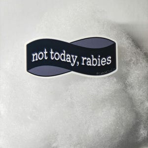 May include: A sticker with the text "not today, rabies" in white font on a black and gray banner-shaped design. The sticker has a white border and is set against a white, fluffy background.
